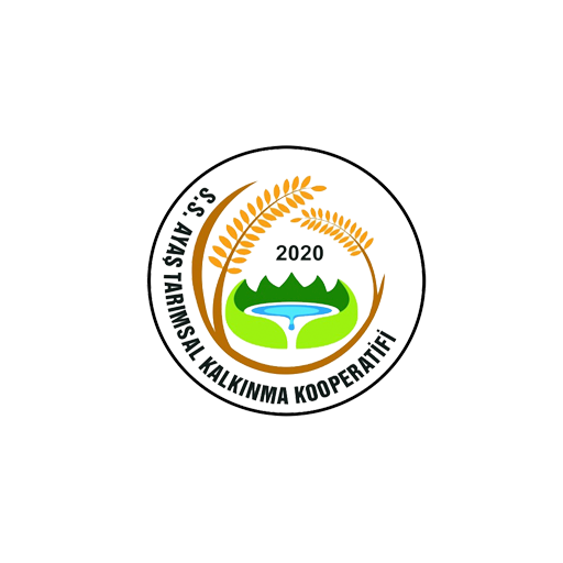 logo11