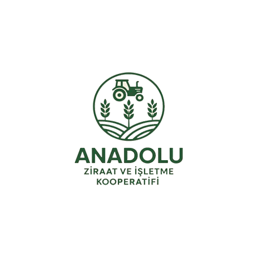 logo15