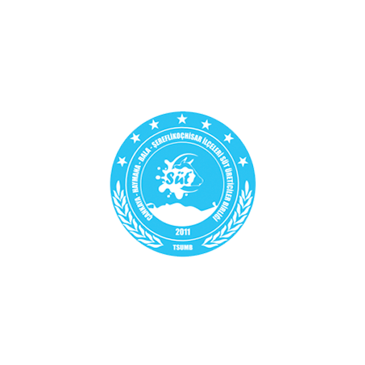 logo20