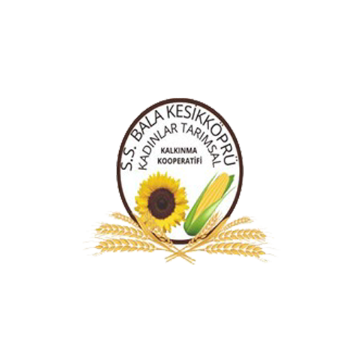 logo3