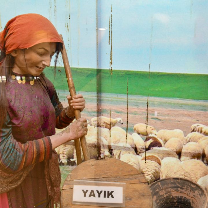 Ekmekmuze9